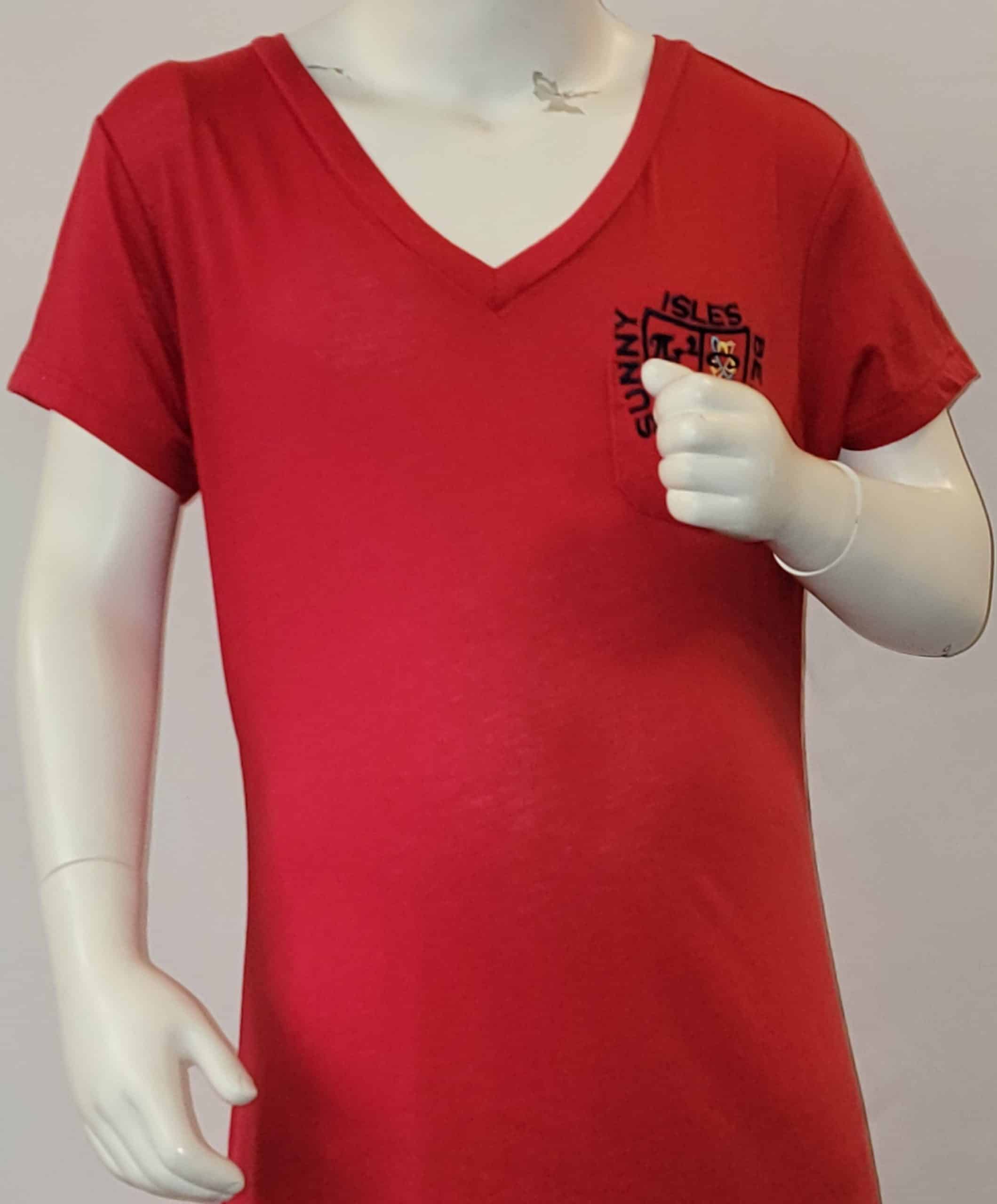 Next Level V Neck T-Shirt