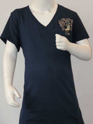 Next Level V Neck T-Shirt